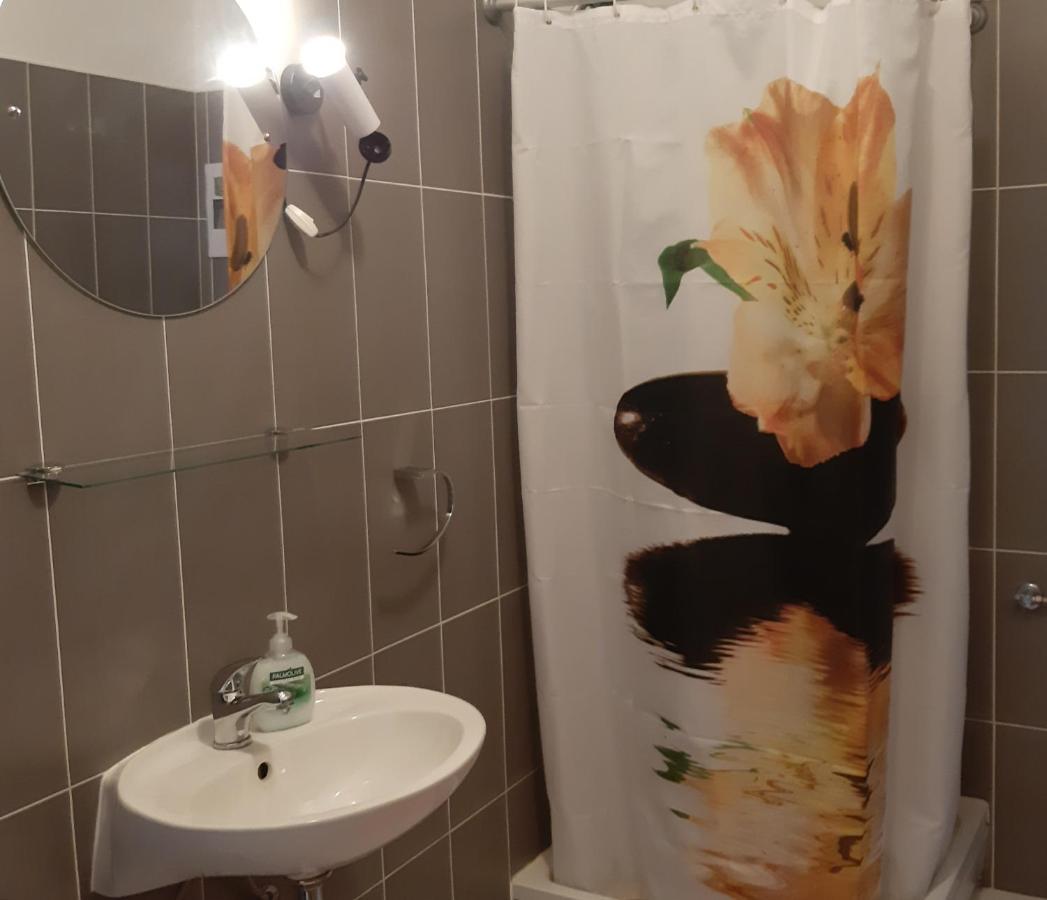 Apartmani Miletic نوفي فينودولسكي المظهر الخارجي الصورة